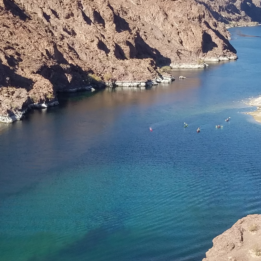 Meet your Posher, Saralyn